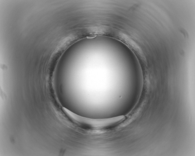 X0000091170209200708091210