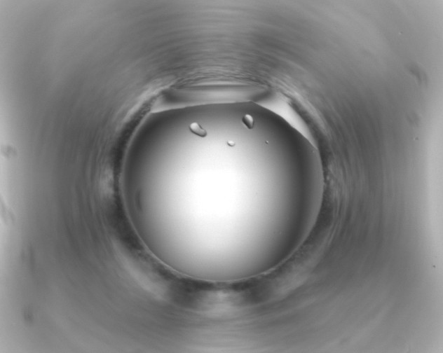 X0000091170212200708091210