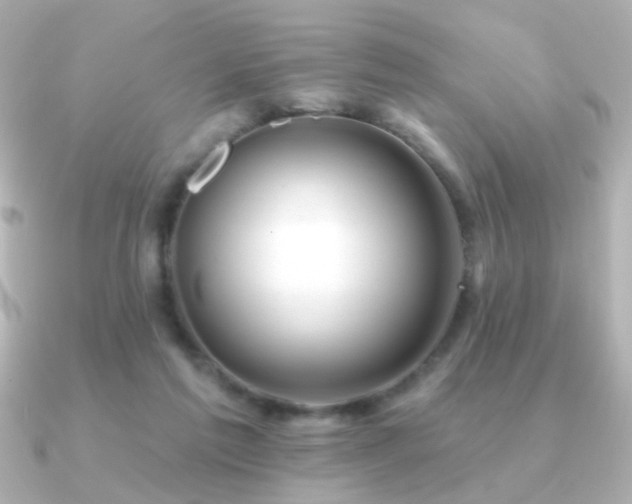 X0000091170213200708091210
