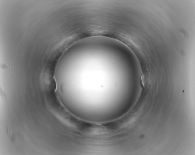 X0000091170215200708091210