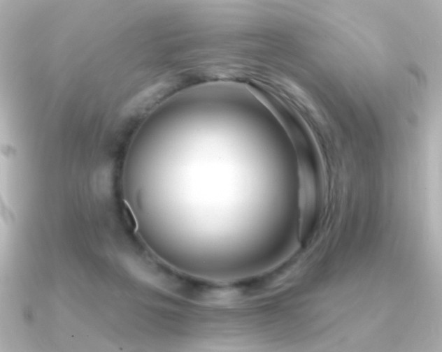 X0000091170217200708091210