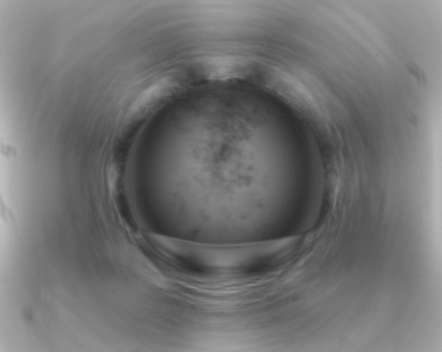 X0000091170219200708091210