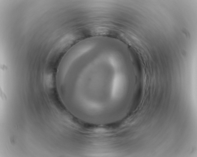 X0000091170224200708091210