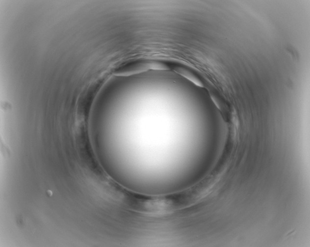 X0000091170225200708091210