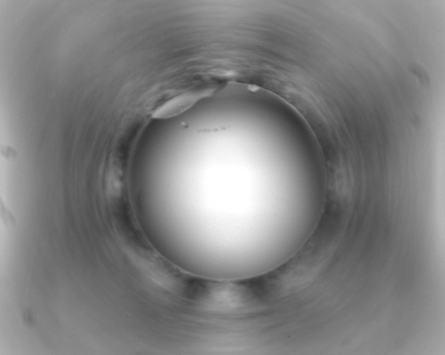 X0000091170226200708091210