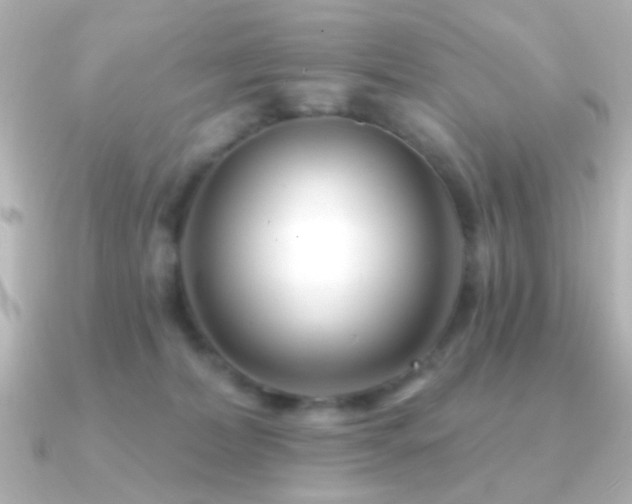 X0000091170228200708091210