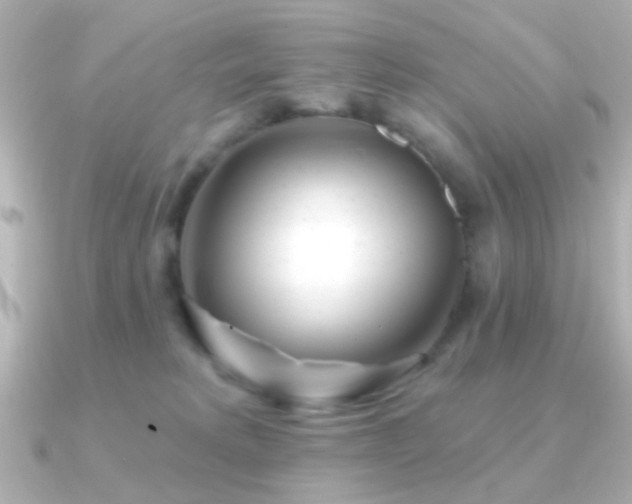 X0000091170229200708091210