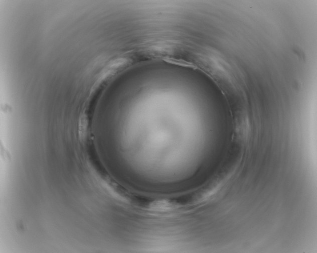 X0000091170231200708091210