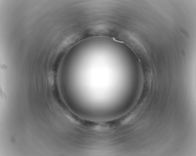 X0000091170232200708091210
