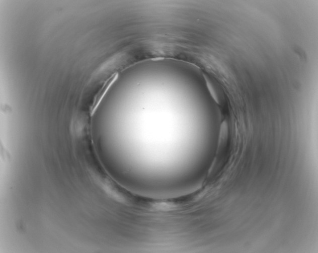 X0000091170233200708091210