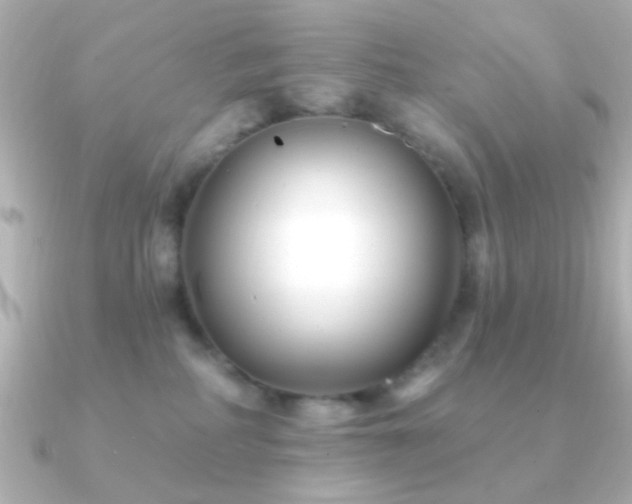 X0000091170234200708091210