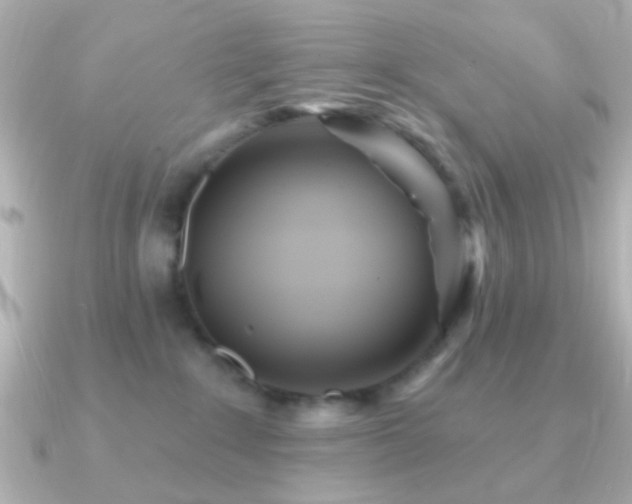 X0000091170235200708091210