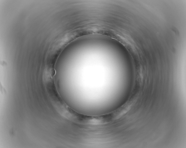 X0000091170236200708091210