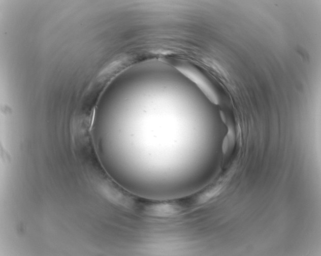 X0000091170237200708091210