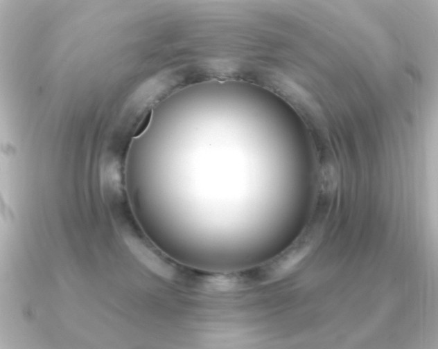 X0000091170238200708091210