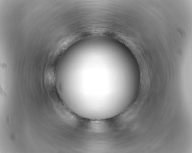 X0000091170240200708091210