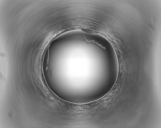 X0000091170241200708091209