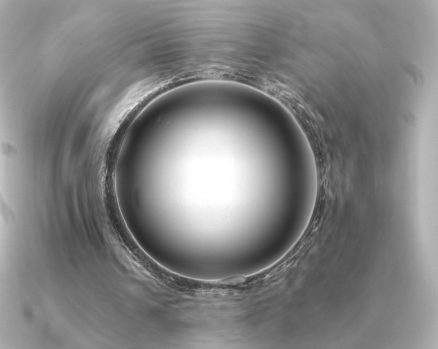 X0000091170242200708091209