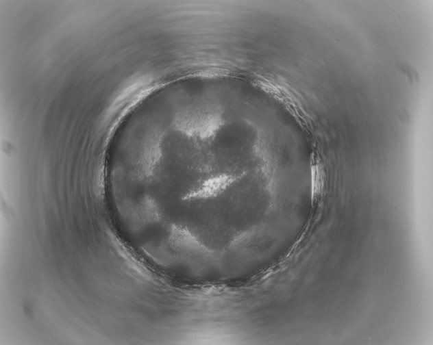 X0000091170243200708091209