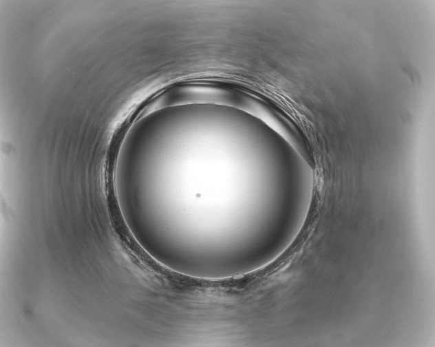 X0000091170244200708091209