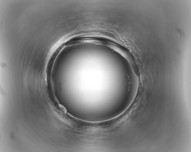 X0000091170246200708091209