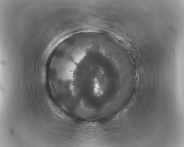 X0000091170247200708091209