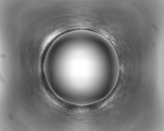 X0000091170248200708091209