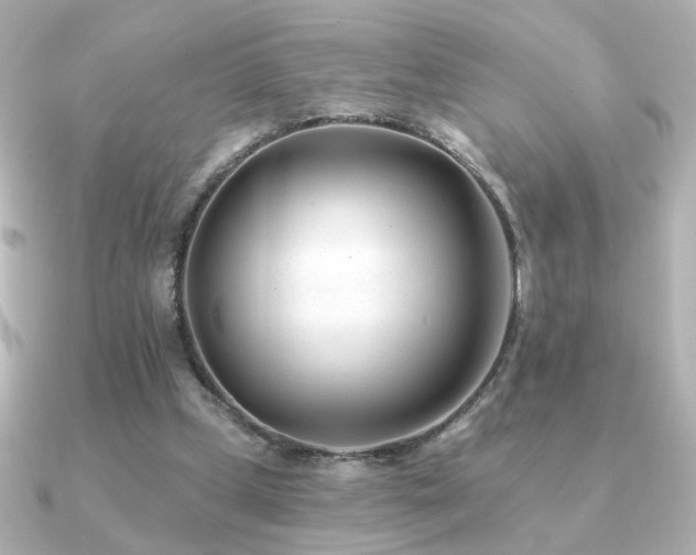X0000091170249200708091209