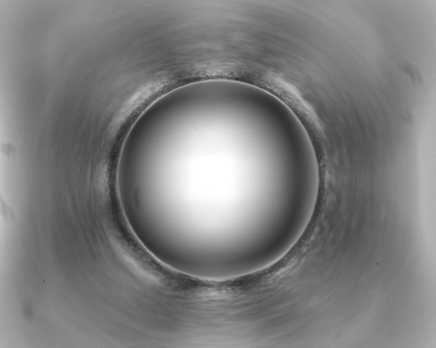 X0000091170250200708091209