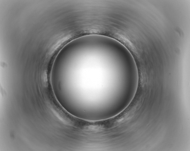 X0000091170251200708091209