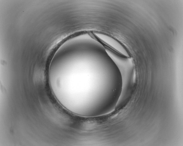 X0000091170252200708091209