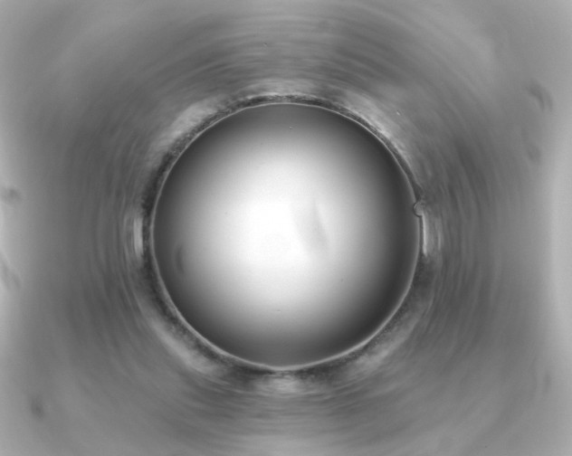 X0000091170253200708091209