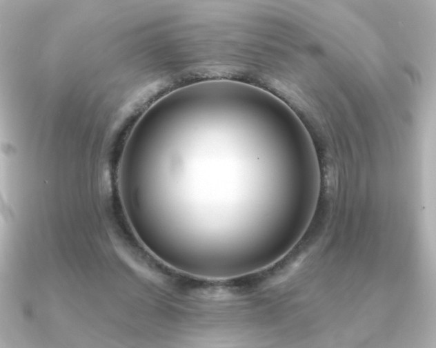 X0000091170254200708091209