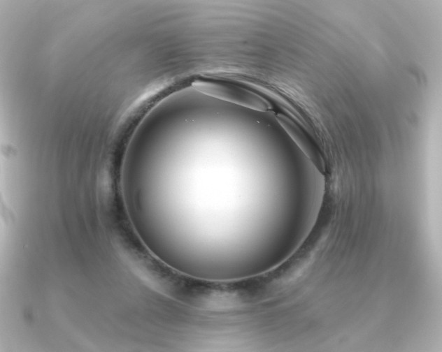 X0000091170256200708091209