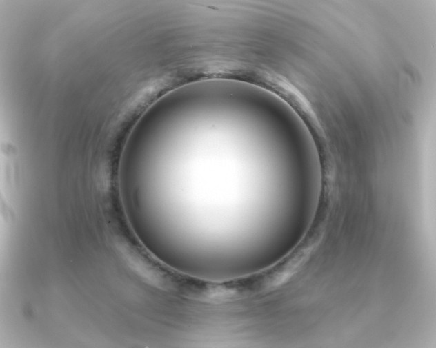 X0000091170257200708091209
