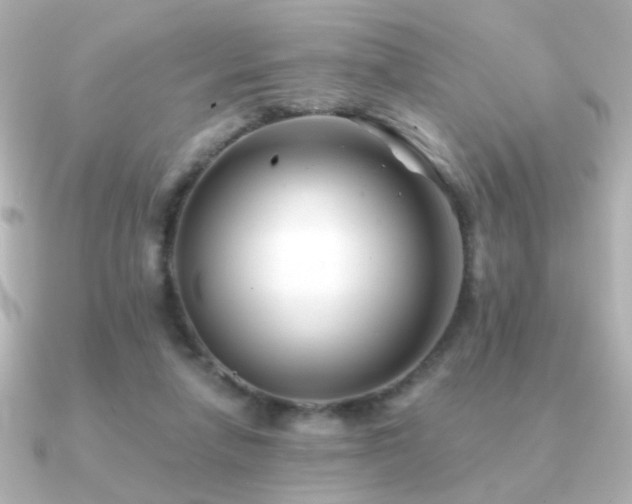 X0000091170258200708091209