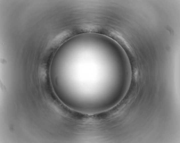 X0000091170259200708091209