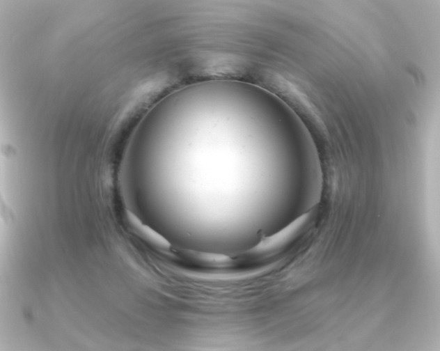 X0000091170260200708091209