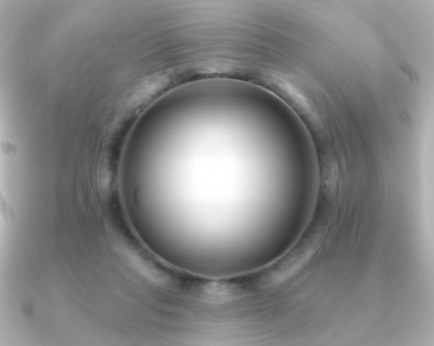 X0000091170261200708091209