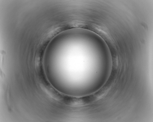 X0000091170263200708091209