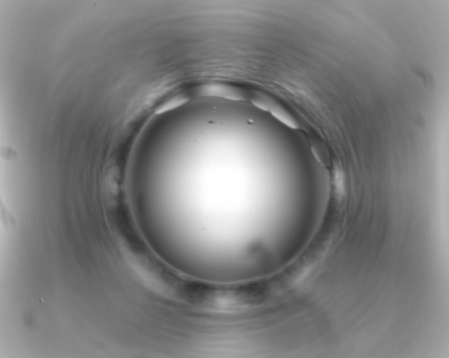 X0000091170264200708091209