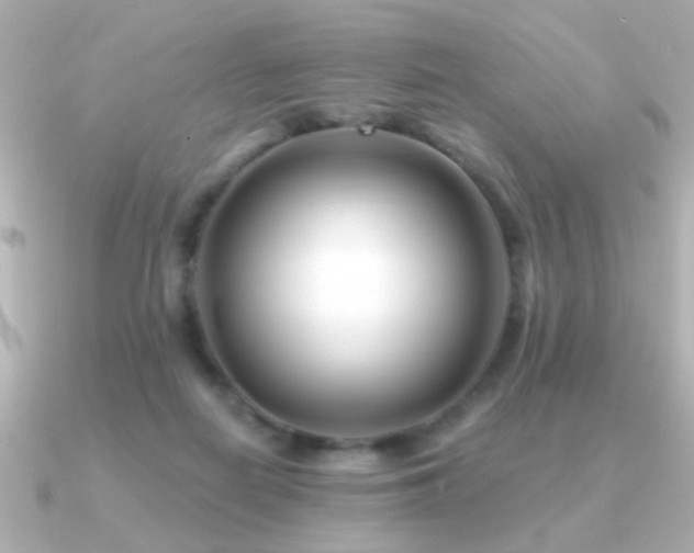 X0000091170266200708091209