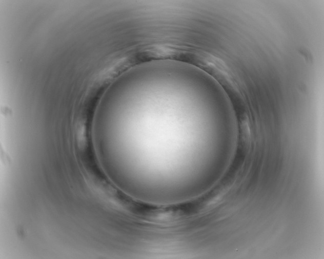 X0000091170267200708091209