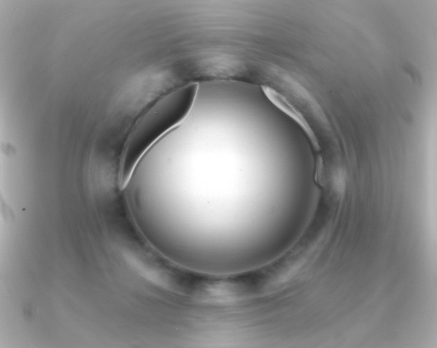 X0000091170268200708091209