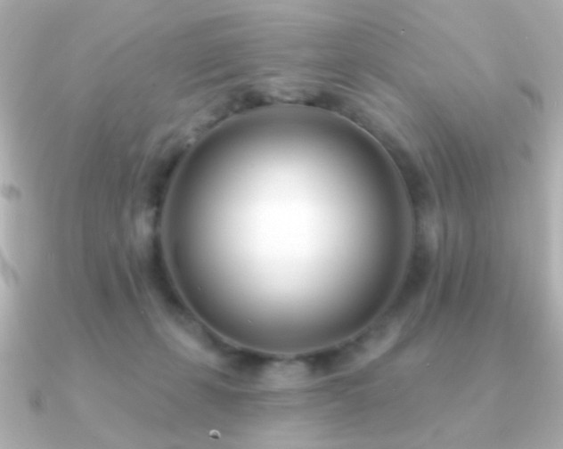 X0000091170271200708091209