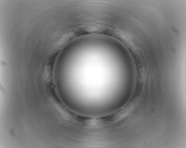 X0000091170273200708091209
