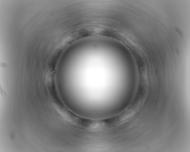 X0000091170274200708091209