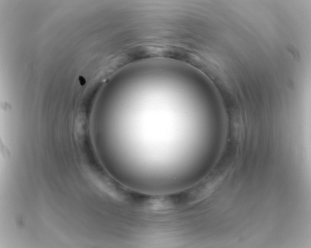 X0000091170275200708091209
