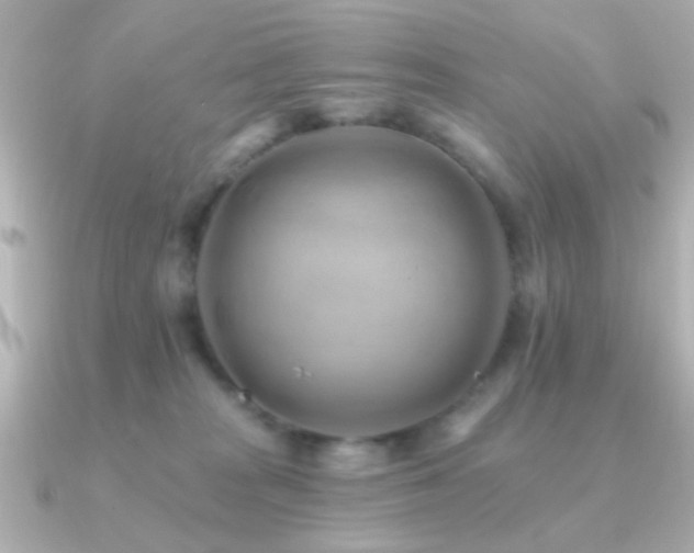 X0000091170277200708091210