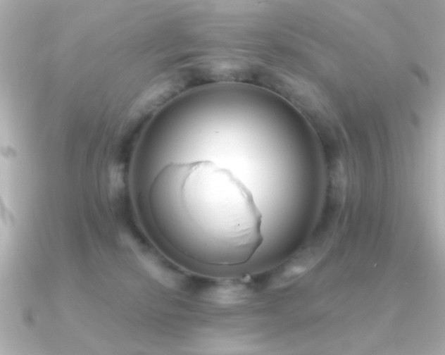 X0000091170278200708091210